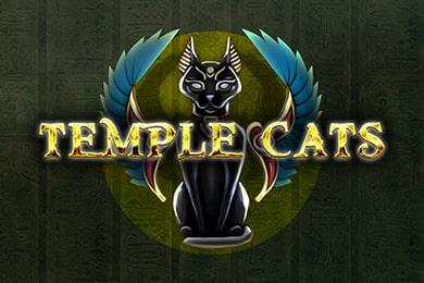 Templecats играть в Иззи Казино