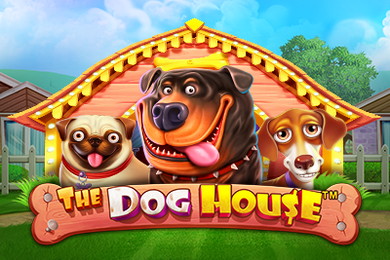 The Dog House автомат Иззи Казино